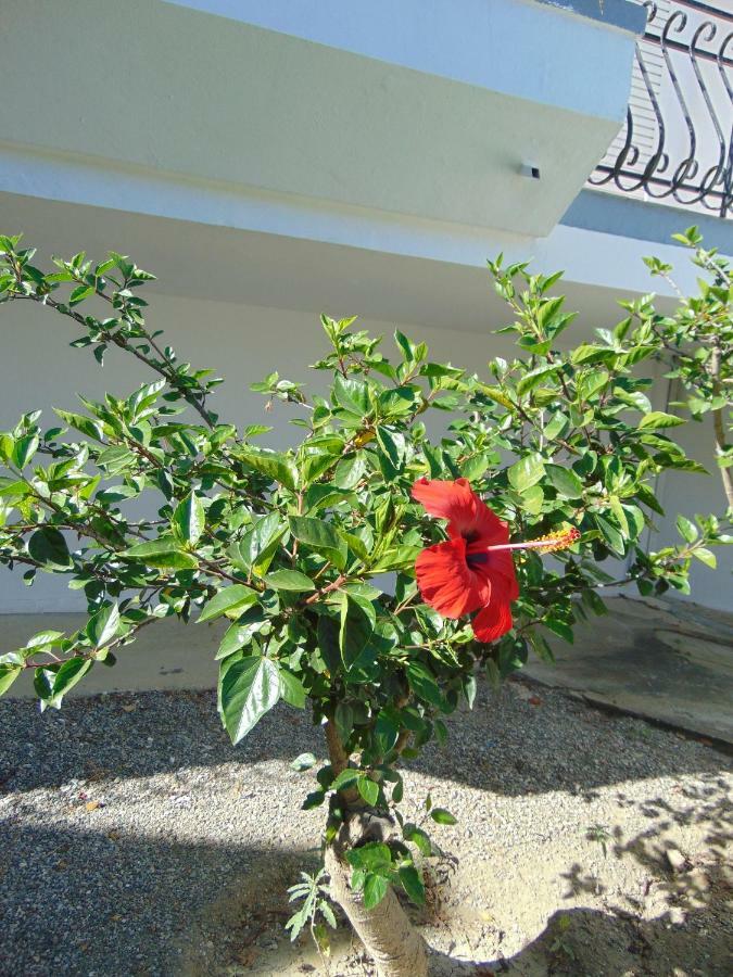 Βίλα Δώρα Φαληράκι Εξωτερικό φωτογραφία